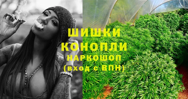 крисы Балабаново